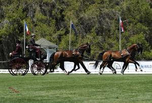 Weber Leads USEF National Four-in-Hand Championship